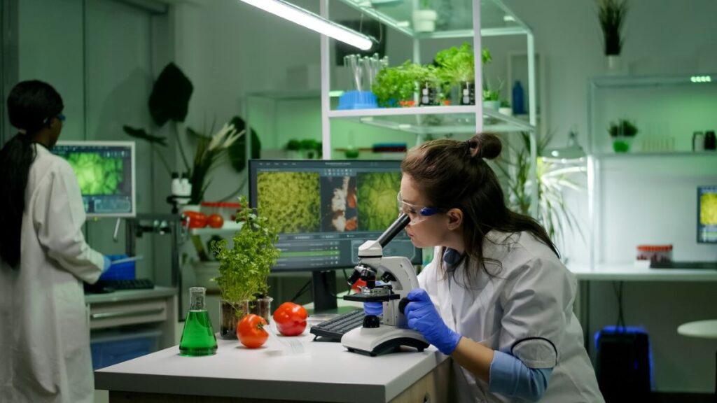 Top 7 Food Safety Compliance Services for Growing Australian Businesses